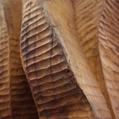 Detail of a cherry wood sculpture in a large rotunda