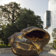A large shiny bronze shell