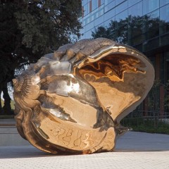 A large shiny bronze shell