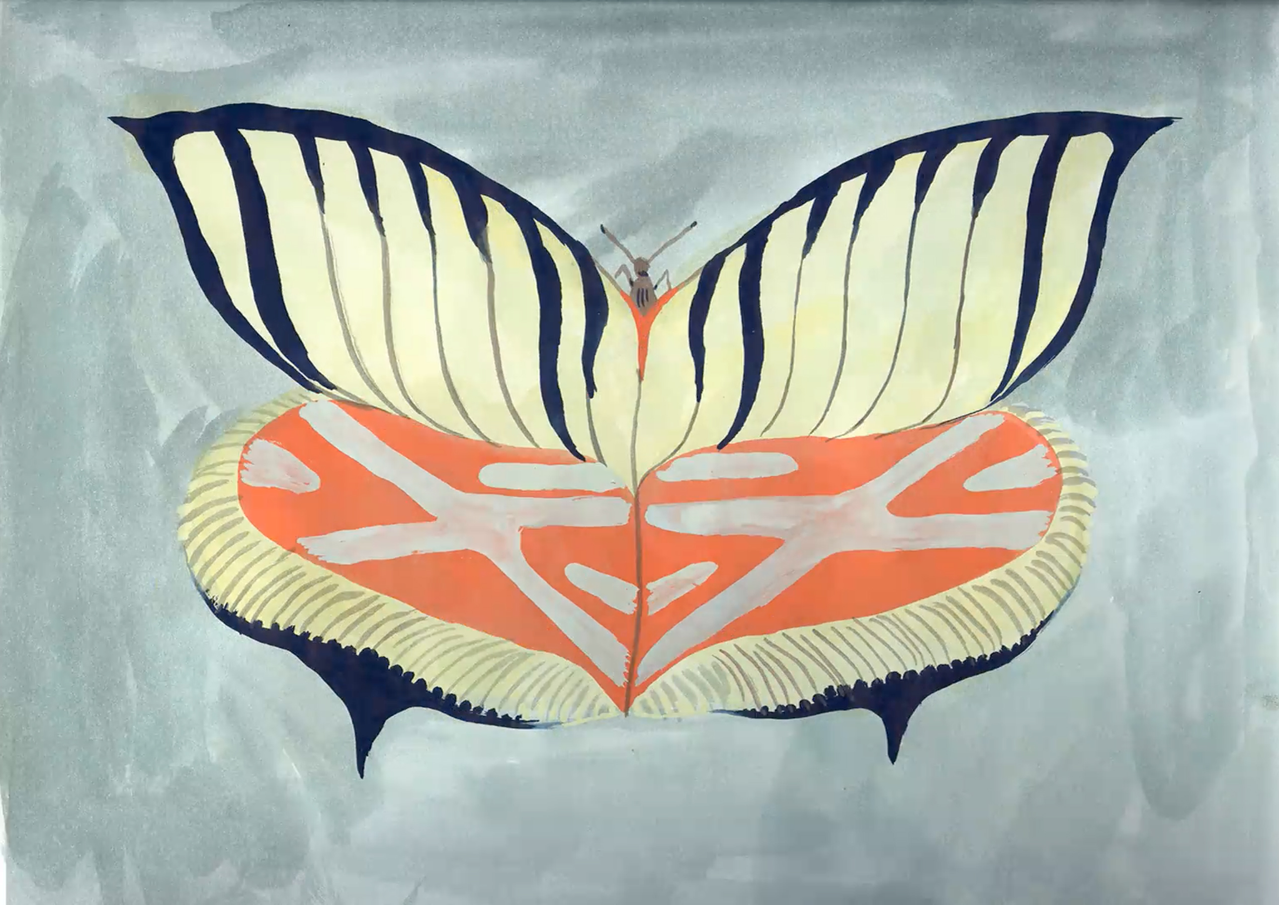 A still from Allison Schulnik's video "Moth" which is a hand drawn and hand painted moth on the screen.