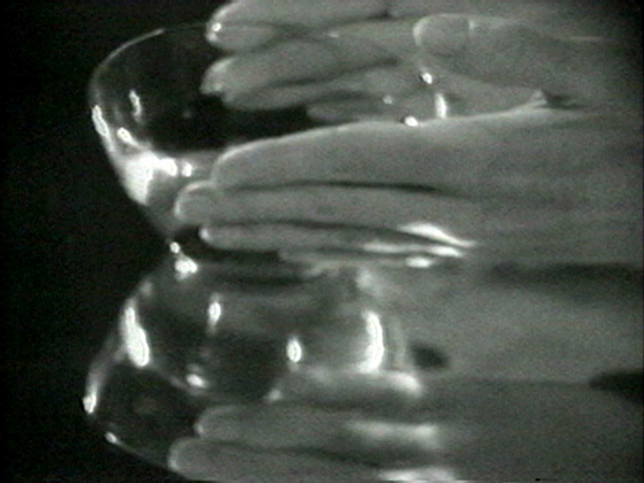 Hands around a glass bowl
