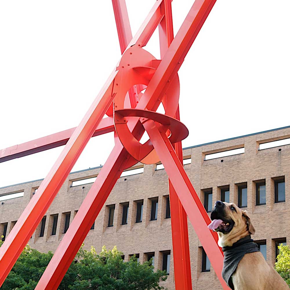 A dog standing in front of a big red sculpture