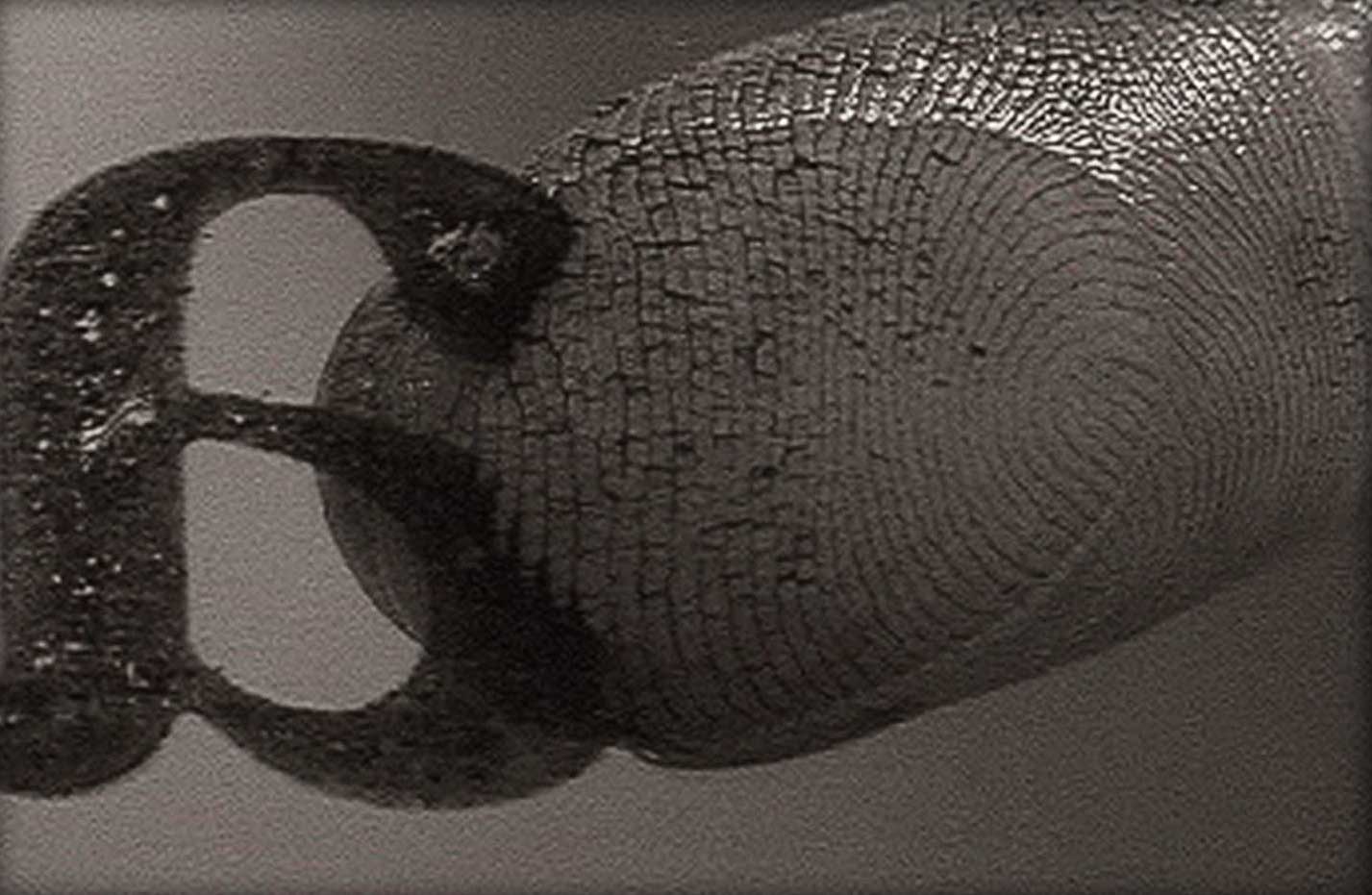 A fingerprint on a backward cutout of the letter A