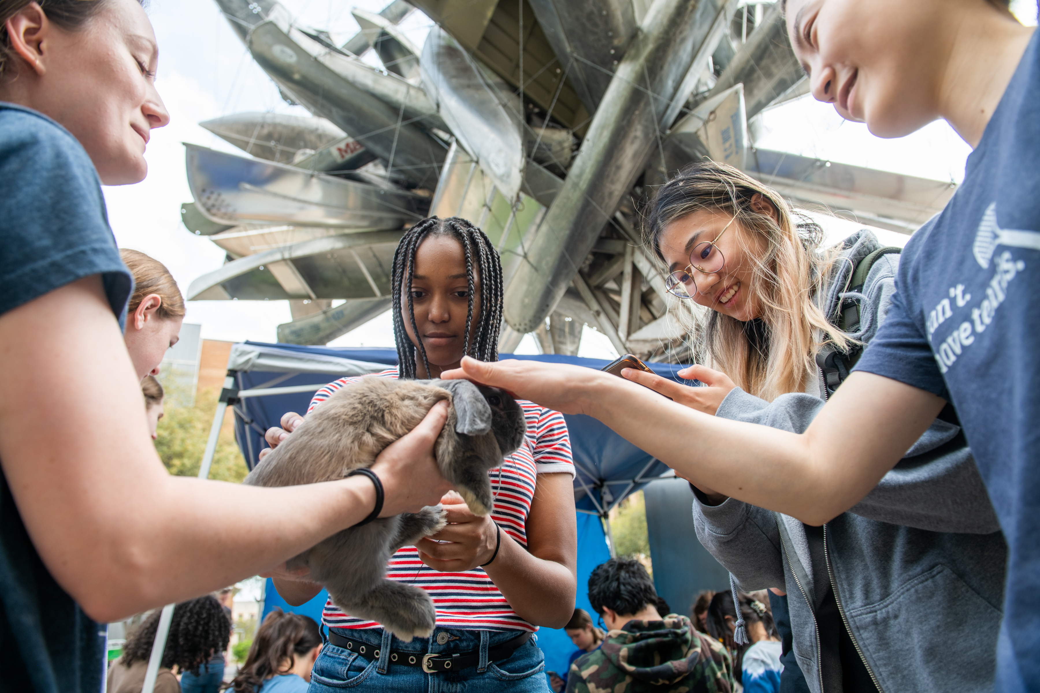 A group of students pet a bunny during Landmarks' Paws for Public Art