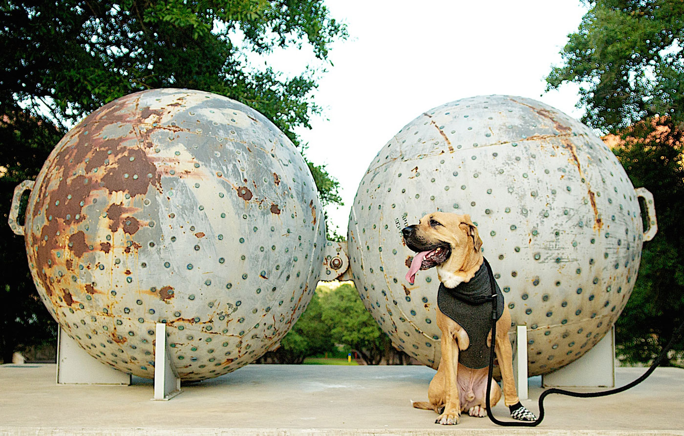 dog posing with sculpture