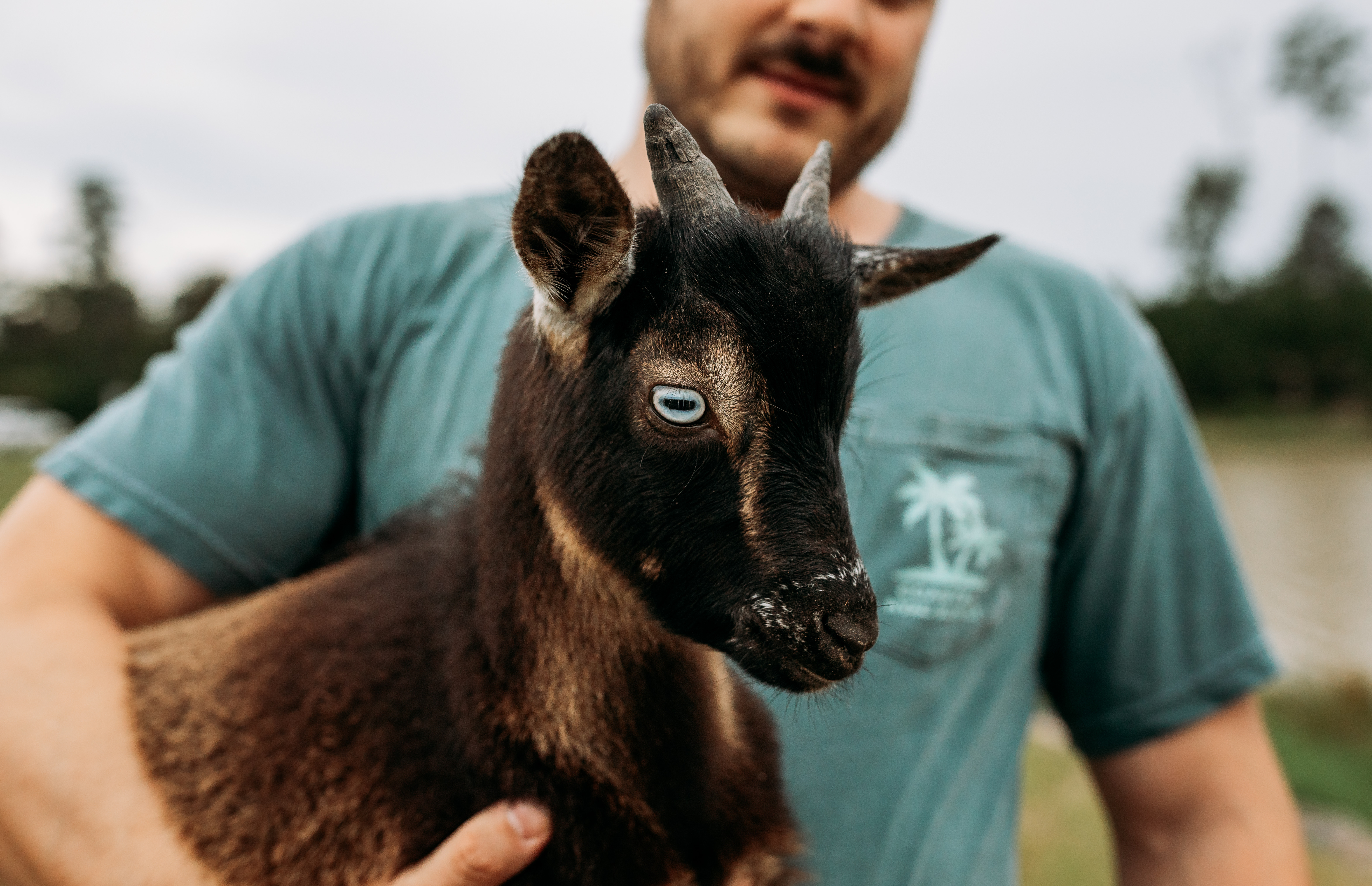 A man holds a baby goat with a white-blue eye. 