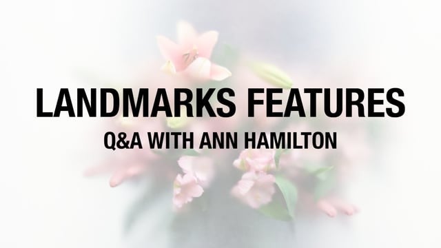 Preview image for the video "Landmarks Feature: A Q&amp;A with Ann Hamilton".