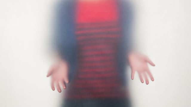 Preview image for the video "Ann Hamilton at Landmarks".