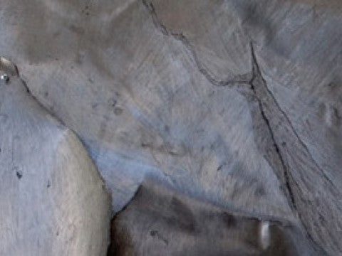 Detail of graphite drawing Detail of graphite drawing