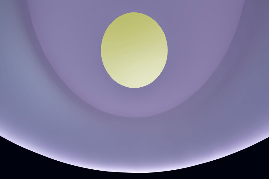 A yellow oval in a light purple circle