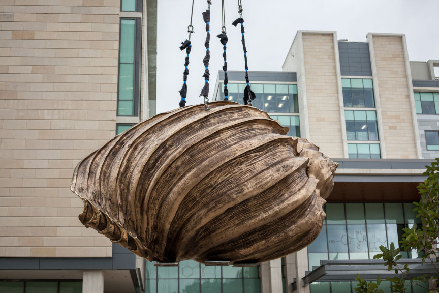 A large bronze shell sculpture hanging from a crane