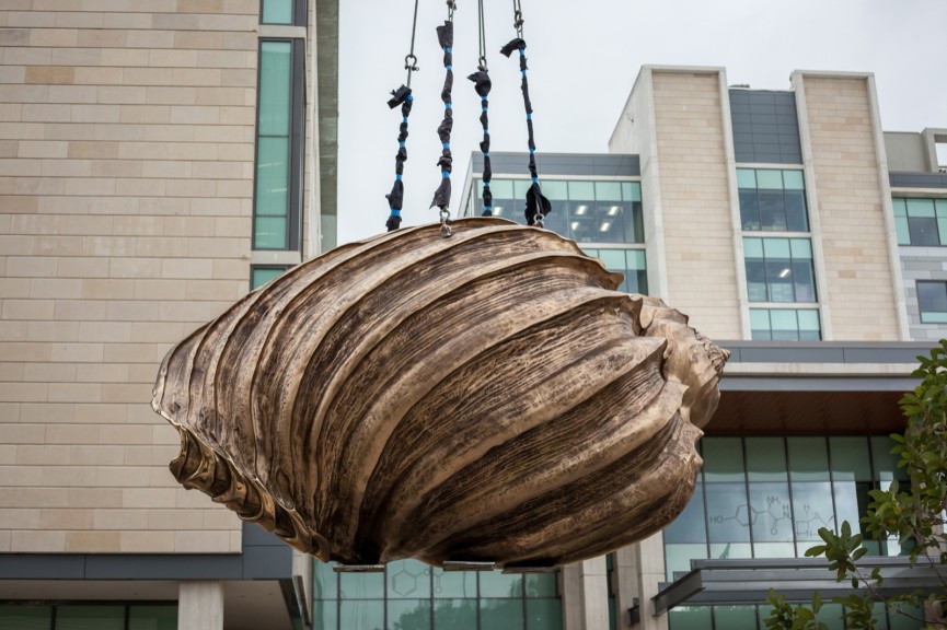 A bronze shell hanging from a crane