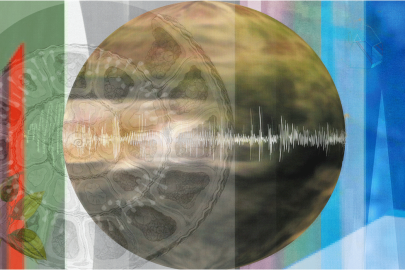 Photo of digital animation installed on video screen