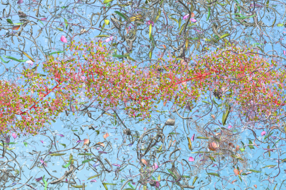 Detail of video installation