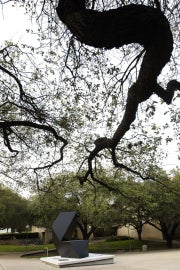 tree branch leading to view of sculpture