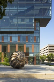 A large shiny bronze shell
