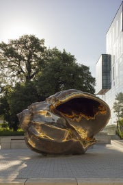 A large shiny bronze shell
