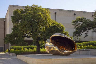 A large shiny bronze shell