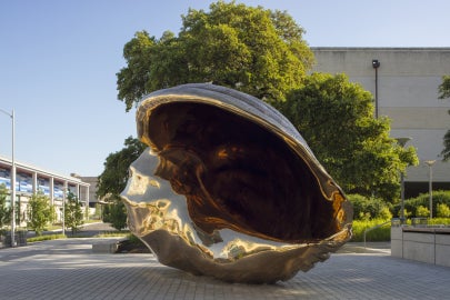 A large shiny bronze shell