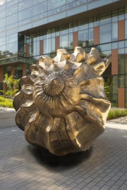 A large shiny bronze shell