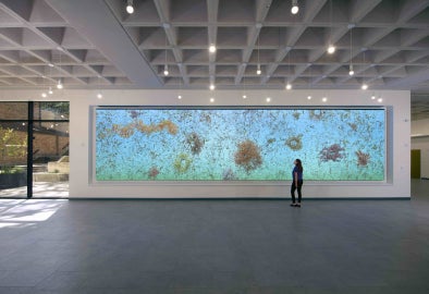 Video installation by Jennifer Steinkamp