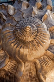 A large bronze shell sculpture
