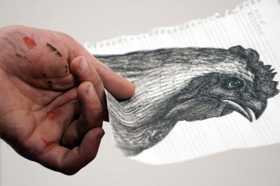 hand holding drawing of rooster