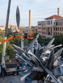 cranes attached to cluster of canoes with building in background