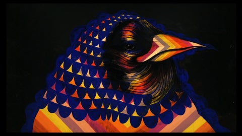 rooster against black background