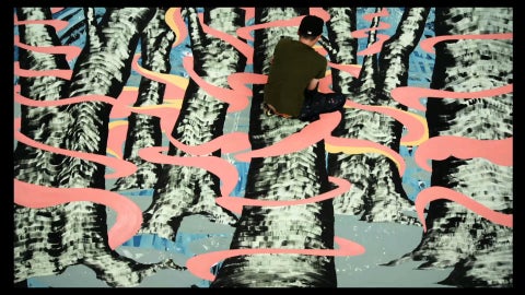 trees with man standing on them with pink streaks going through