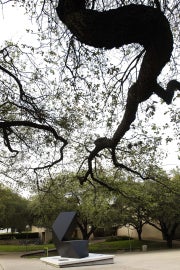 tree branch leading to view of sculpture