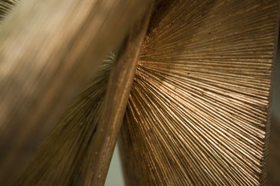 textured wooden sculpture with lines meeting at center point