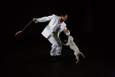 A man dancing while a dog bites his sleeve