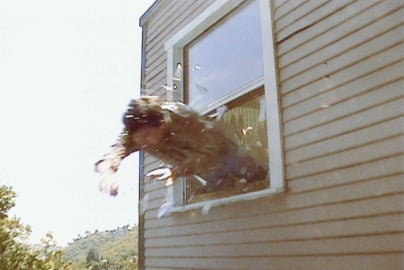 person midway jumping out of window of home