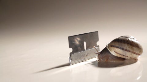 razor standing up next to snail on white surface