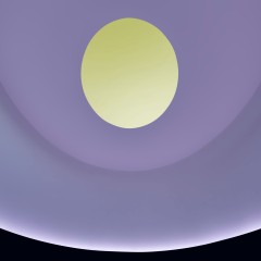 A yellow oval in a light purple circle