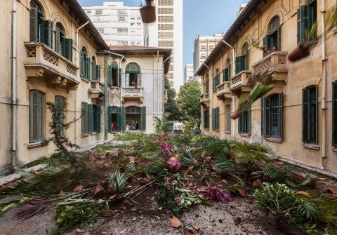 Potted plants thrown out of a window into a large plaza