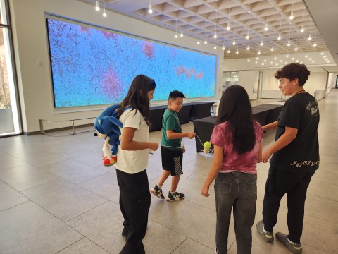 A group of students balance a tennis ball on top of a toilet paper roll as part of an activity with Jennifer Steinkamp's "EON," a large-scale digital installation. 