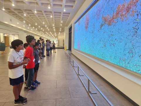 A group of students observe Jennifer Steinkamp's "EON" a large-scale digital work.