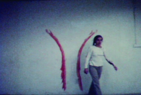 Ana Mendieta - Untitled (Blood Sign #2 / Body Tracks) | LANDMARKS