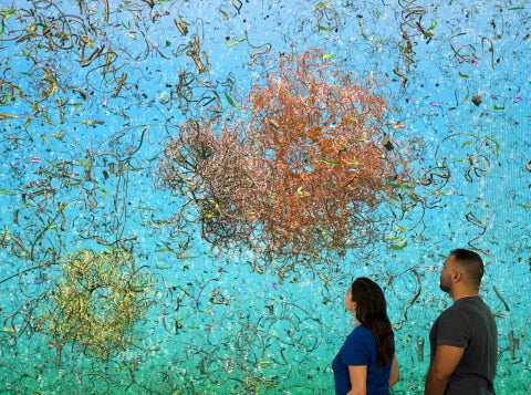 Video installation by Jennifer Steinkamp