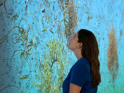 Video installation by Jennifer Steinkamp