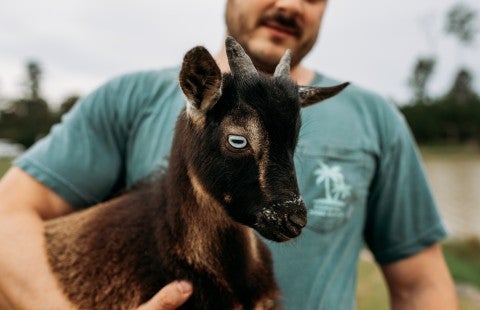 A man holds a baby goat with a white-blue eye. 