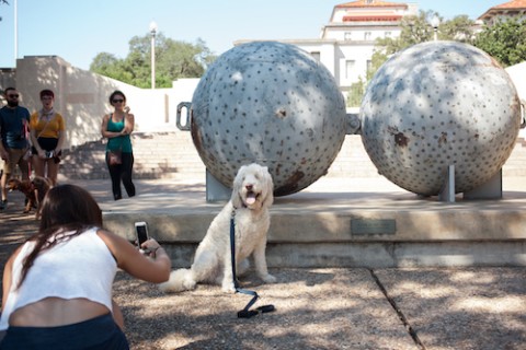 Dog with sculpture