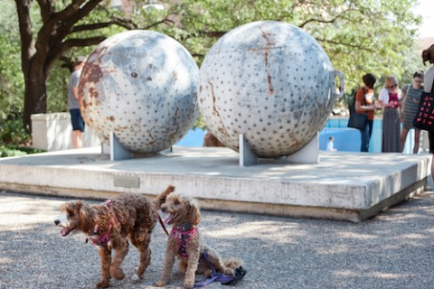 two dogs in front of sculpture
