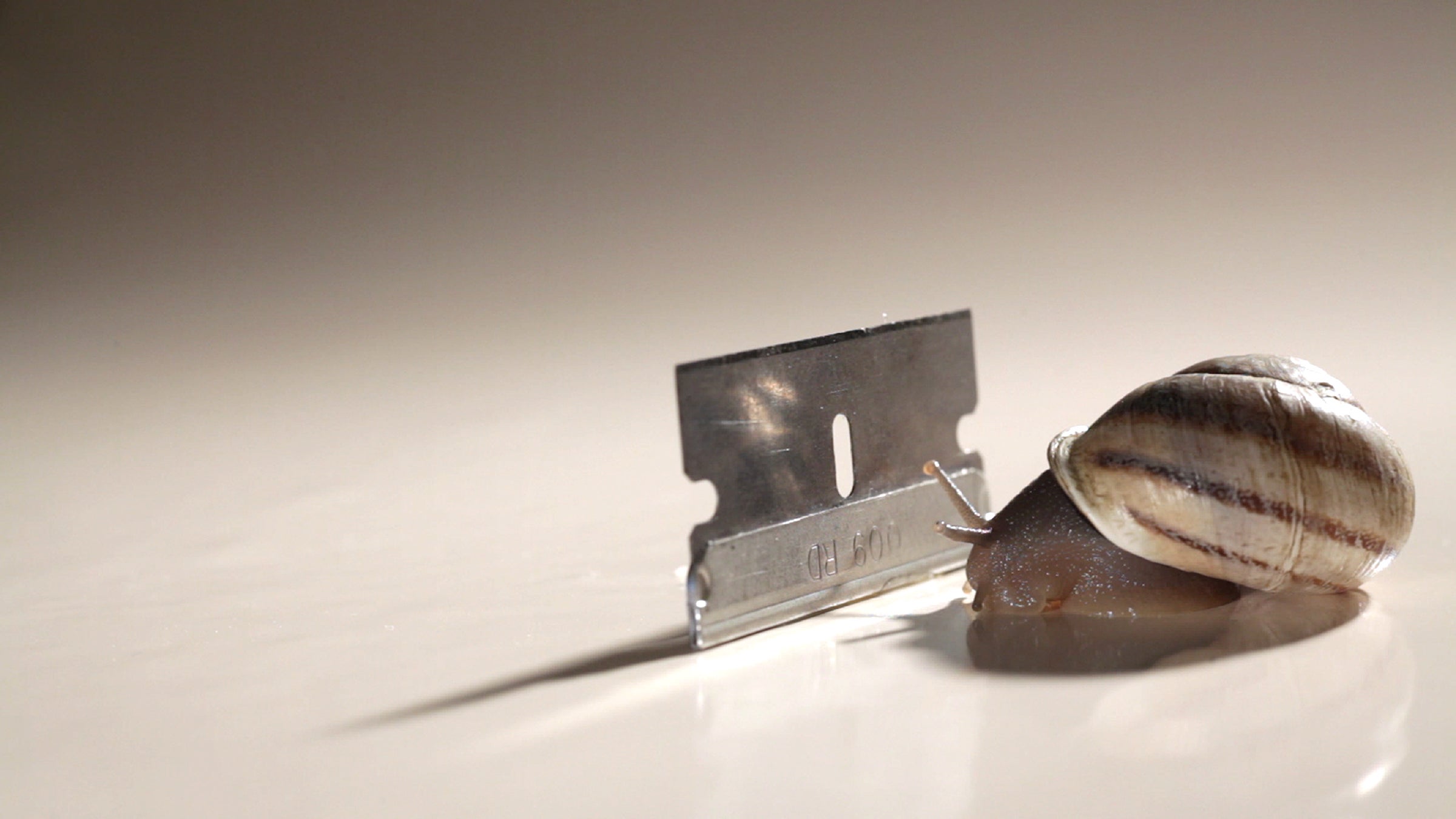 Film still of straight razor and snail